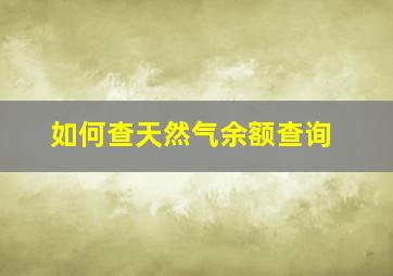 如何查天然气余额查询