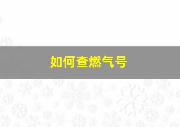 如何查燃气号