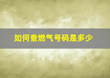 如何查燃气号码是多少