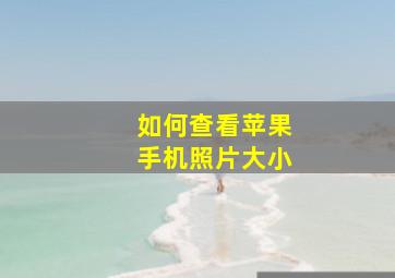 如何查看苹果手机照片大小