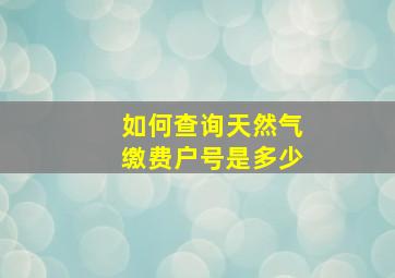 如何查询天然气缴费户号是多少