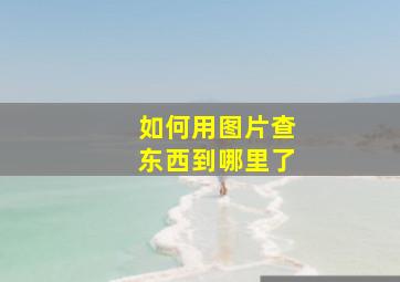 如何用图片查东西到哪里了