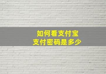 如何看支付宝支付密码是多少