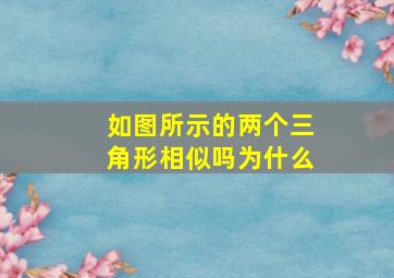 如图所示的两个三角形相似吗为什么