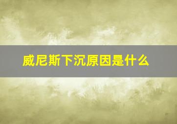 威尼斯下沉原因是什么