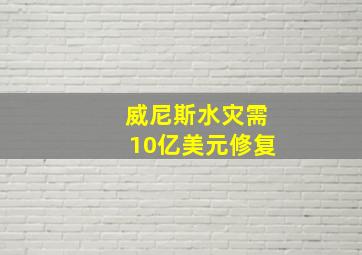 威尼斯水灾需10亿美元修复