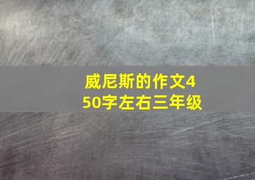 威尼斯的作文450字左右三年级