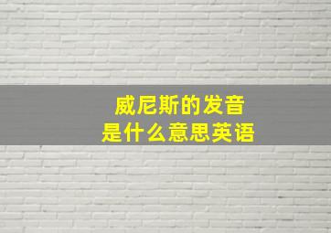 威尼斯的发音是什么意思英语