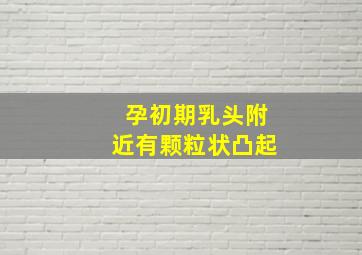 孕初期乳头附近有颗粒状凸起