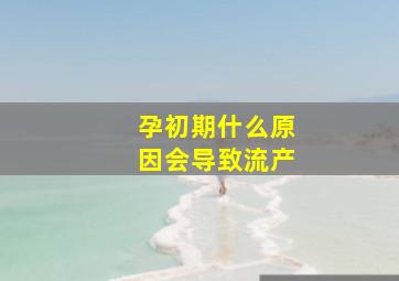 孕初期什么原因会导致流产