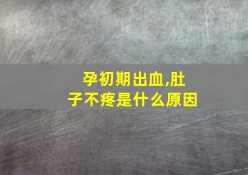 孕初期出血,肚子不疼是什么原因