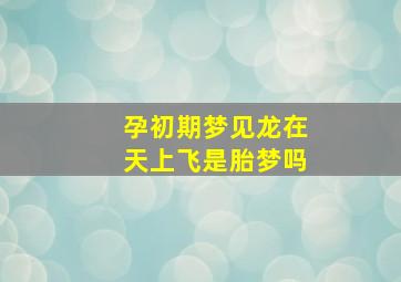 孕初期梦见龙在天上飞是胎梦吗