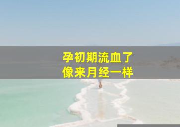 孕初期流血了像来月经一样