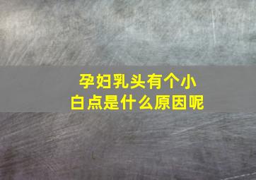 孕妇乳头有个小白点是什么原因呢