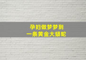 孕妇做梦梦到一条黄金大蟒蛇