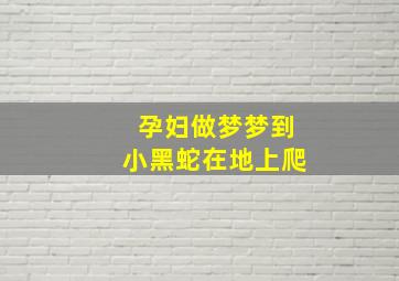 孕妇做梦梦到小黑蛇在地上爬