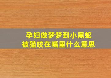 孕妇做梦梦到小黑蛇被猫咬在嘴里什么意思