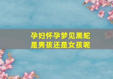 孕妇怀孕梦见黑蛇是男孩还是女孩呢