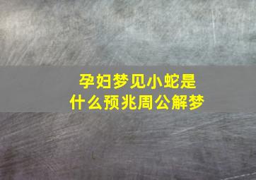 孕妇梦见小蛇是什么预兆周公解梦