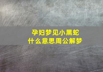 孕妇梦见小黑蛇什么意思周公解梦