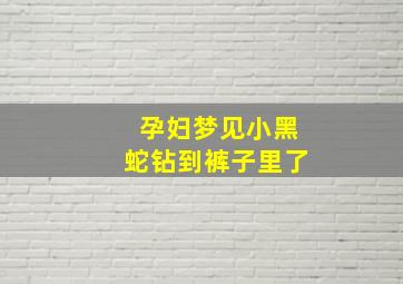 孕妇梦见小黑蛇钻到裤子里了