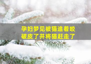 孕妇梦见被猫追着咬破皮了并将猫赶走了