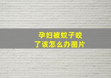 孕妇被蚊子咬了该怎么办图片