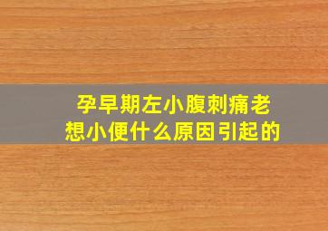 孕早期左小腹刺痛老想小便什么原因引起的