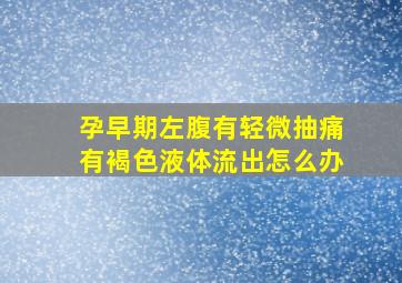 孕早期左腹有轻微抽痛有褐色液体流出怎么办