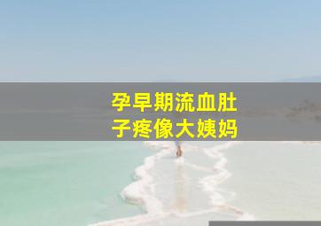 孕早期流血肚子疼像大姨妈