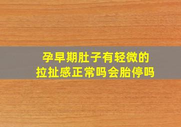 孕早期肚子有轻微的拉扯感正常吗会胎停吗