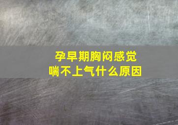 孕早期胸闷感觉喘不上气什么原因