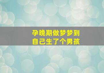 孕晚期做梦梦到自己生了个男孩