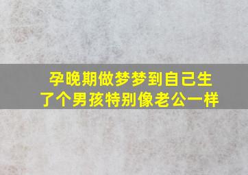 孕晚期做梦梦到自己生了个男孩特别像老公一样