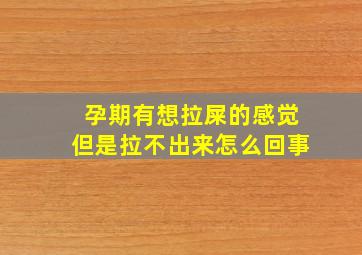 孕期有想拉屎的感觉但是拉不出来怎么回事