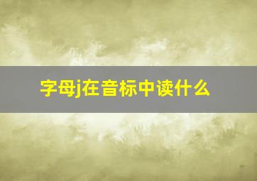 字母j在音标中读什么