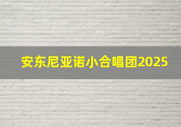 安东尼亚诺小合唱团2025