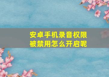 安卓手机录音权限被禁用怎么开启呢