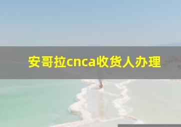 安哥拉cnca收货人办理