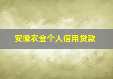 安徽农金个人信用贷款