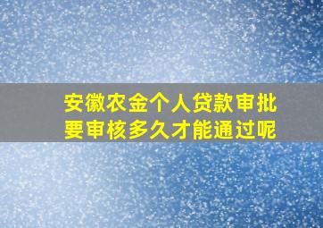 安徽农金个人贷款审批要审核多久才能通过呢