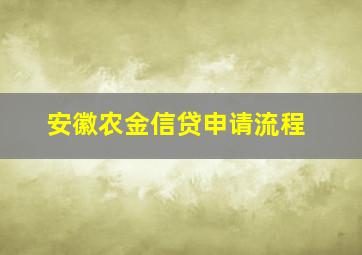 安徽农金信贷申请流程