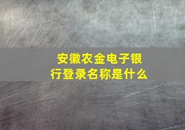 安徽农金电子银行登录名称是什么