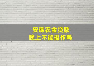 安徽农金贷款晚上不能操作吗