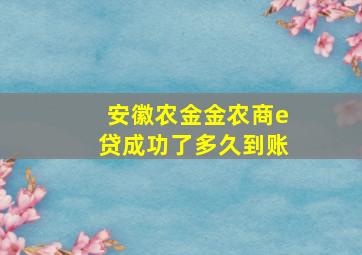 安徽农金金农商e贷成功了多久到账