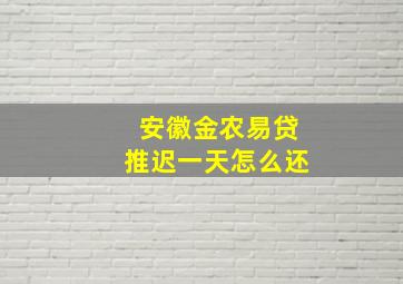 安徽金农易贷推迟一天怎么还