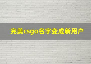 完美csgo名字变成新用户