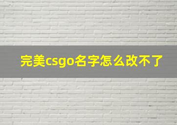 完美csgo名字怎么改不了