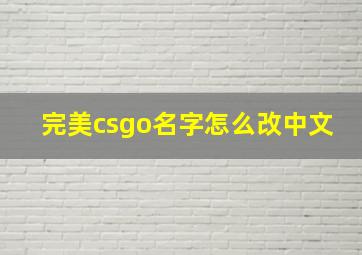 完美csgo名字怎么改中文