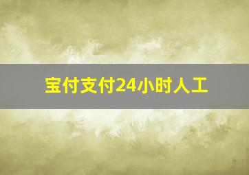 宝付支付24小时人工